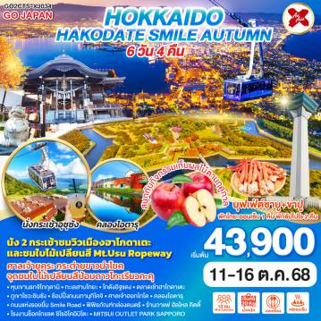 ทัวร์Japan
