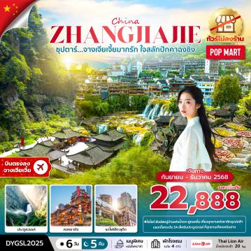 ทัวร์จีน