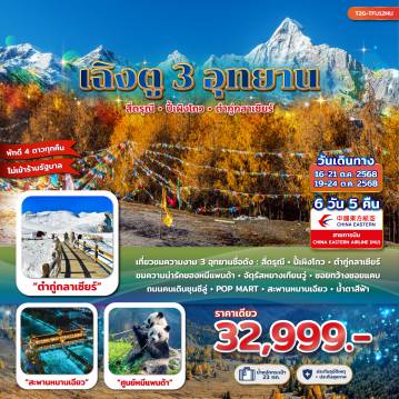 ทัวร์จีน