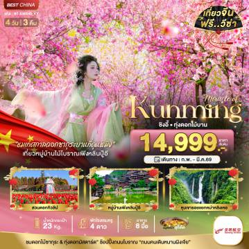 ทัวร์จีน