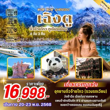 ทัวร์จีน