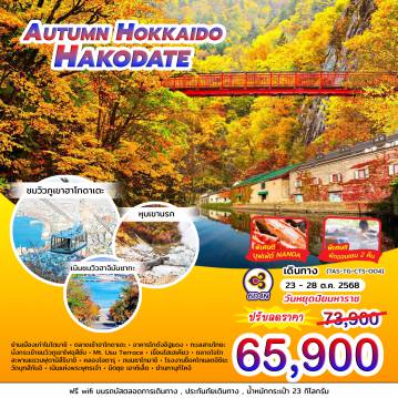 ทัวร์Japan