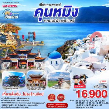 ทัวร์China
