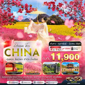 China Tour -คุนหมิง โหลวผิง ซากุระอี้เหลียง 4 วัน 3 คืน