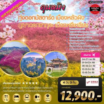 ทัวร์จีน 4 วัน 3 คืน-คุนหมิง ชมทุ่งดอกมัสตาร์ด เมืองหลัวผิง ชมภูเขาดอกซากุระ เมืองหยีเหลียง 4 วัน 3 คืน ไม่เข้าร้าน By Kunming Airlines