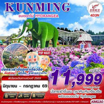 ทัวร์จีน 4 วัน 3 คืน-KY BKK KUNMING ภูเขาหิมะเจี้ยวจื่อ - ดอกไม้ Hydrangea 4D3N (JUN-JUL 26)