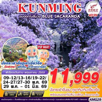 ทัวร์จีน 4 วัน 3 คืน-KY BKK KUNMING ภูเขาหิมะเจี้ยวจื่อ - ดอกไม้สีม่วง Blue Jacaranda 4D3N (MAY 26)