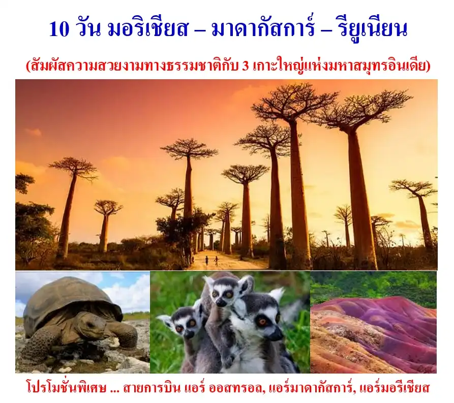 ทัวร์มาดากัสการ์ 10 วัน 8 คืน-มอริเชียส - น้ำตกชามาเรล - หาดทรายเจ็ดสี - พอร์ทหลุยส์ - มาดากัสการ์ - อันตานานาริโว - โมรอนดาวา คิรินดิ (นั่งรถ 4WD) - เบาบับอีฟ - รียูเนียน (เรอูว์นิยง) พักค้าง 2 คืน - แซง เดอนี - ภูเขาไฟปิตงเดอร์ลาซาส