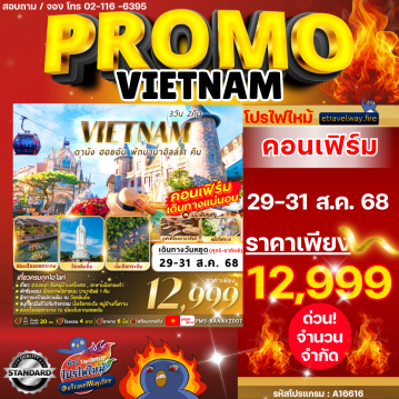 ทัวร์เวียดนามไฟไหม้