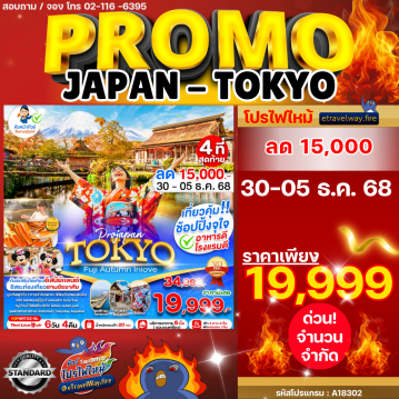 ทัวร์ไฟไหม้ญี่ปุ่น