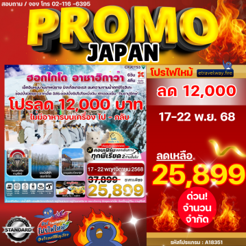 ทัวร์ไฟไหม้ญี่ปุ่น