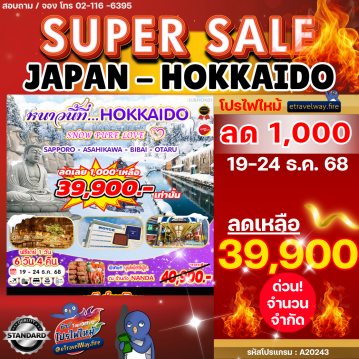 ทัวร์ไฟไหม้ญี่ปุ่น