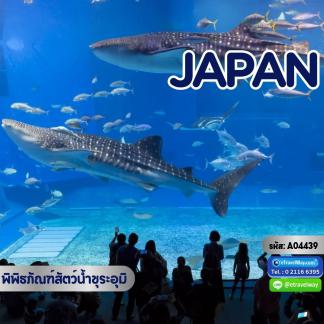 ทัวร์ญี่ปุ่น