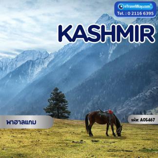 ทัวร์อินเดีย