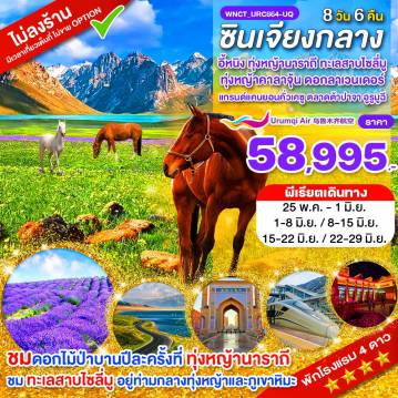 ทัวร์จีน