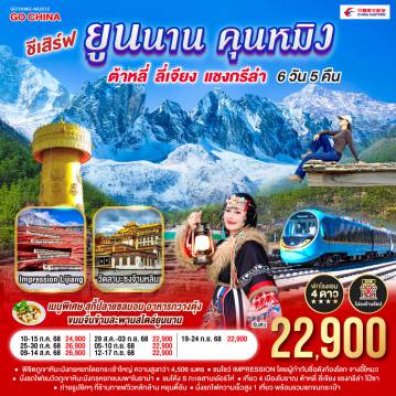 ทัวร์จีน