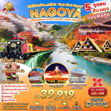 ทัวร์Japan