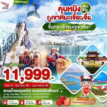 ทัวร์จีน