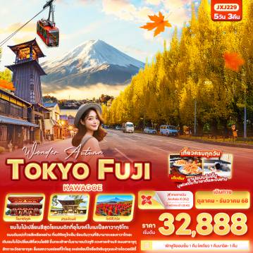 ทัวร์Japan