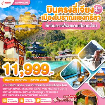 ทัวร์จีน