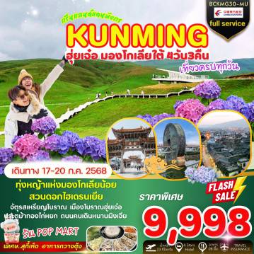 ทัวร์จีน