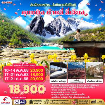 ทัวร์จีน