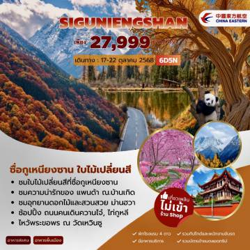 ทัวร์จีน