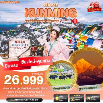 ทัวร์จีน