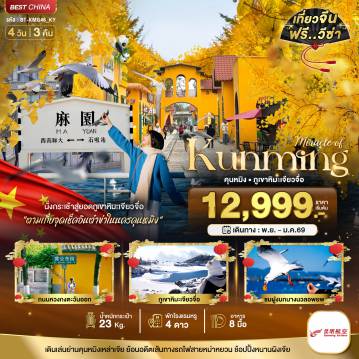 ทัวร์จีน