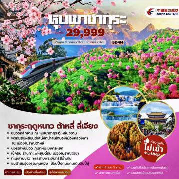 ทัวร์จีน