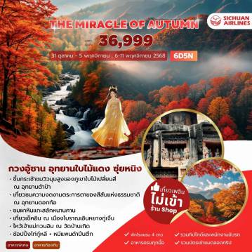 ทัวร์จีน