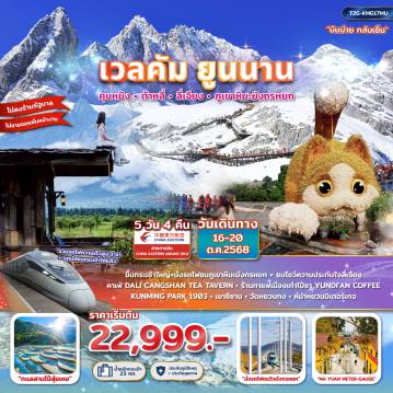 ทัวร์จีน