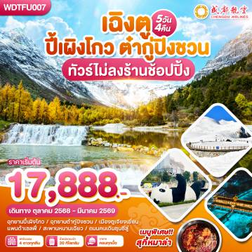 ทัวร์จีน
