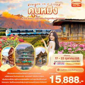 ทัวร์China