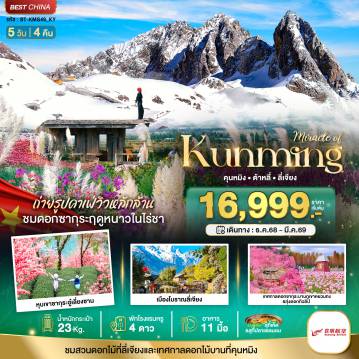 China Tour -มหัศจรรย์...คุนหมิง ต้าหลี่ ลี่เจียง ภูเขาหิมะมังกรหยก