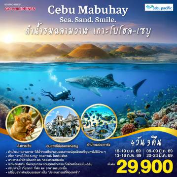 The Philippines Tour -<br>ดำน้ำชม “ฉลามวาฬ” ใต้น้ำทะเลสีคราม  ประสบการณ์สุดพิเศษ ที่คุณหาไม่ได้ง่าย ๆ
<br>เที่ยว “เกาะโบโฮล & เซบู” สองเกาะดัง ในทริปเดียว — ชายหาด น้ำใส เมืองเก่า และวัฒนธรรมท้องถิ่น
<br>พักผ่อนสบาย ที่พักคุณภาพ รวมทุกอย่างครบ ทั้งตั๋วเครื่องบินไป-กลับ ทริป ดำน้ำ เที่ยวเกาะ ที่พัก และอาหารครบทุกมื้อ