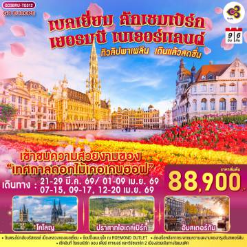 Europe Tour -สนามบินสุวรรณภูมิ - บรัสเซลส์ - นามูร์ - ดินองต์ - นั่งกระเช้าชมวิวซิตาเดล - ลักเซมเบิร์ก  - ไฮเดลเบิร์ก - ปราสาทไฮเดลเบิร์ก - แฟร้งค์เฟิร์ต - เวิร์ซเบิร์ก - โรเธนเบิร์ก ออบ เดียร์ เทาเบอร์ - แบมเบิร์ก - แฟร้งค์เฟิร์ต - โคโลญ - ROEMOND OUTLET - โรมอนด์ - อัมสเตอร์ดัม - ซานส์สคันส์  - ล่องเรืออัมสเตอร์ดัม - สถาบันเจียระไนเพชร - จัตุรัสดัมสแควร์  ย่านโคมแดง-สวนดอกไม้เคอเคนฮอฟ - บรัสเซลส์ - ถ่ายรูปอะโตเมี่ยม - จัตุรัสแกรนด์เพลส  - สนามบินบรัสเซลส์