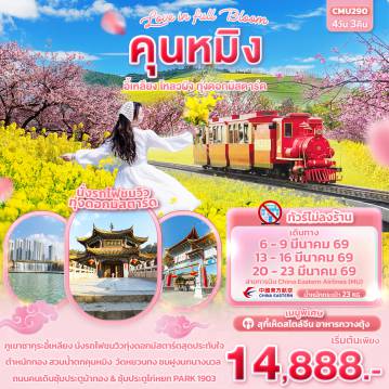 ทัวร์จีน 4 วัน 3 คืน-Love in Full Bloom คุนหมิง อี้เหลียง โหลวผิง ทุ่งดอกมัสตาร์ด 4วัน 3คืน (ไม่ลงร้านช้อป)