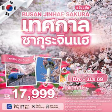 ทัวร์เกาหลีใต้รูดบัตรไม่ชาร์จ 5 วัน 3 คืน-บรรยากาศสุดโรแมนติกของฤดูใบไม้ผลิ ณ ปูซานเมืองหลวงทางตอนใต้ สัมผัสความงามของดอกพ็อดกดที่เทศกาลซากุระจินแฮ เทศกาลดอกพ็อดกดที่ยิ่งใหญ่ที่สุดของเกาหลีใต้ เทศกาลจัดขึ้นระหว่างวันที่ 28 มีนาคม – 05 เมษายน 2026