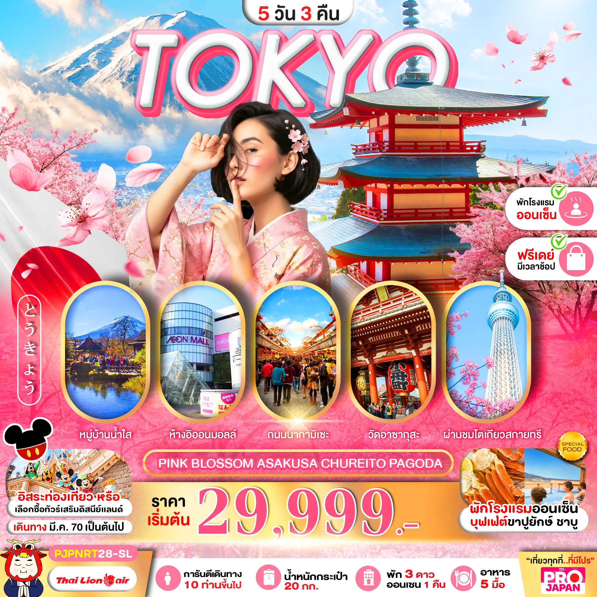 ทัวร์ญี่ปุ่นเดือนมีนาคม 6 วัน 4 คืน-TOKYO FUJI PINK MOSS FESTIVEL FREE DAY 6D4N