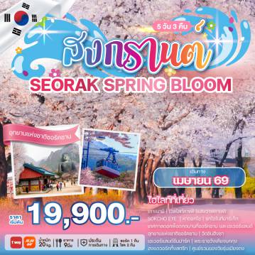 South Korea Tour -สงกรานต์ปีนี้พาทุกท่านบินลัดฟ้าไปชมดอกพ็อดกดให้ฉ่ำปอดกับเทศกาลดอกพ็อดกดบานที่ซอรัคซานและสวนสนุกเอเวอร์แลนด์ เพลิดเพลินไปกับความสวยงามของดอกพ็อดกด ที่จะย้อมให้ทั้งเมืองกลายเป็นสีชมพูสดใส
