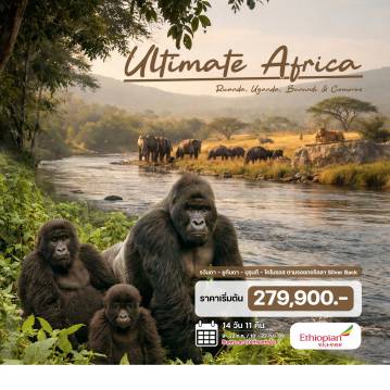 ทัวร์แอฟริกา (ทวีป) 14 วัน 11 คืน-(ทริป... ตามรอย กอริลลา Silver Back) คิกาลี (รวันดา) - กอริลลา แทร็กกิ้ง - โกลเด้นมังกี้ แทร็กกิ้ง - เอ็นเทบเบ (ยูกันดา) - เมอร์ชิสัน ฟอลล์ - ชิมแปนซี แทร็กกิ้ง - เกมส์ไดร์ฟ - ล่องเรือแม่น้ำไนล์ - บูจุมบูรา (บุรุนดี) - โคโมรอส