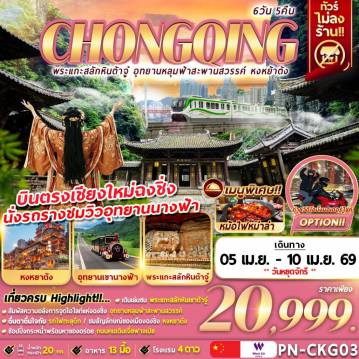 ทัวร์จีน 6 วัน 5 คืน-CHONGQING พระแกะสลักหินต้าจู๋ อุทยานหลุมฟ้าสะพานสวรรค์ หงหย้าต้ง 6D5N