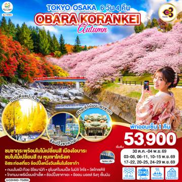 Japan Tour 6 Day 4 Night-ไฮไลท์ทัวร์-Highlight
ชมซากุระพร้อมใบไม้เปลี่ยนสี เมืองโอบาระ - ชมใบไม้เปลี่ยนสี ณ หุบเขาโครังเค - อิสระท่องเที่ยว ช้อปปิ้งหนึ่งวันเต็มในโอซาก้า - พักออนเซ็น 1 คืน ถนนใบแป๊ะก๊วย อิโชนามิกิ - อุโมงค์ใบเมเปิ้ล โมมิจิ ไคโร - วัดไทเซคิจิ - โกเทมบะพรีเมี่ยมเอ้าเล็ต - ช้อปปิ้งซาคาเอะ - อิออน มอลล์ ริงกุ เซ็นนัน
