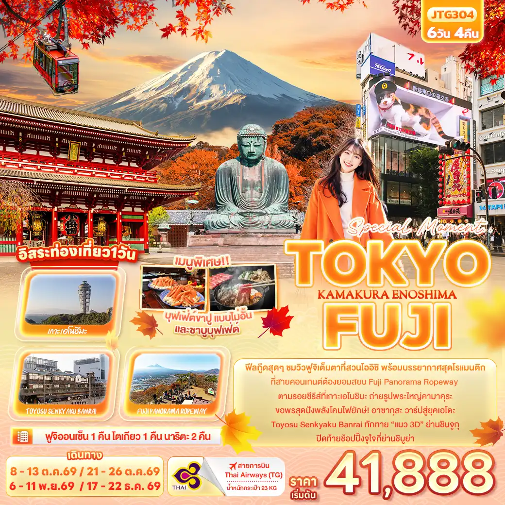ทัวร์ญี่ปุ่นเดือนพฤศจิกายน 6 วัน 4 คืน-Special Moment..TOKYO FUJI KAMAKURA ENOSHIMA