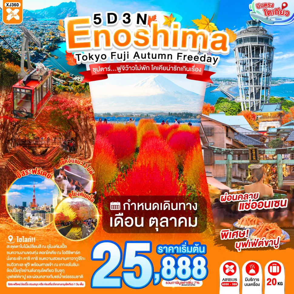 ทัวร์ญี่ปุ่นเดือนตุลาคม 5 วัน 3 คืน-เกาะเอโนชิมะ - ศาลเจ้าเอโนชิมะ - ถนนเบ็นไชเท็นนากามิเสะ - สวนสาธารณะโออิชิ (ทุ่งดอกโคเคีย) - กระเช้าคาชิ คาชิ - จุดชมวิวทะเลสาบคาวากูจิโกะ หรือ อุโมงค์ใบเมเปิ้ล - ชมแมวยักษ์ 3 มิติ พร้อมช้อปปิ้ง - ย่านชินจูกุ - ออนเซ็น + ขาปูยักษ์- อิสระท่องเที่ยว