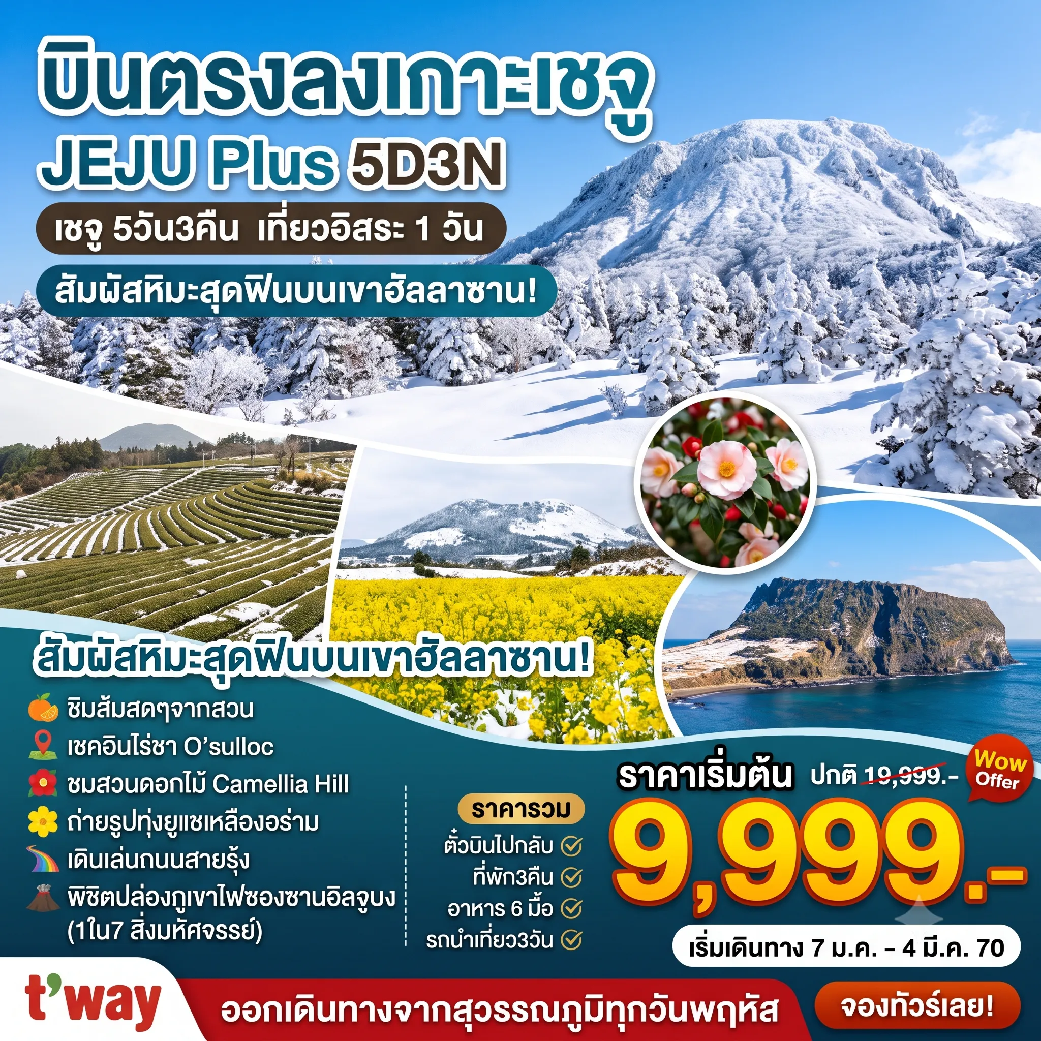 ทัวร์เกาหลีใต้เดือนมกราคม 5 วัน 3 คืน-ภูเขาฮัลลาซาน - สวนส้ม - ไร่ชาO'Sulloc - Camillia Hill - วัดซันบังโพมุนซา - อิสระฟรีเดย์ 1 วัน - ถนนสายรุ้ง - ศูนย์เครื่องสำอางค์ - หมู่บ้านวัฒนธรรมซองอึบ - ทุ่งดอกยูแช - ซองซานอิลจูบง - Dream Tower - ศูนย์น้ำมันสนเข็มแดงและฮ้อตเก้นามู - วัดป่าชอนวังซา - ศูนย์โสมเกาหลี - ซุปเปอร์มาร์เกต - ดิวตี้ฟรีและตลาดดาวทาวน์ยอนดง