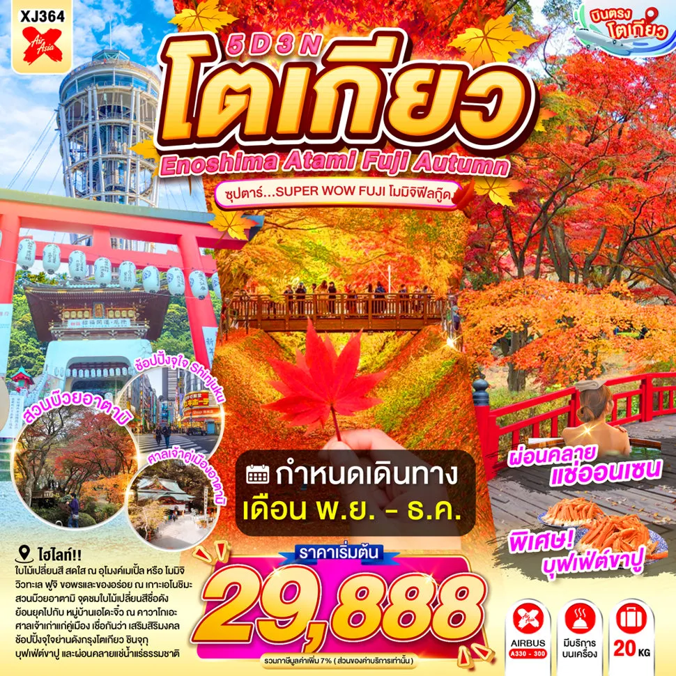 ทัวร์ญี่ปุ่นเดือนพฤศจิกายน 5 วัน 3 คืน-เกาะเอโนชิมะ- ศาลเจ้าเอโนชิมะ- ถนนเบ็นไชเท็นนากามิเสะ- หมู่บ้านโอชิโนะฮัคไค- จุดชมวิวทะเลสาบคาวากูจิโกะ- สวนบ๊วยอาตามิ- ศาลเจ้าคิโนะมิยะ- อิออนมอลล์- ย่านเมืองเก่าคาวาโกเอะ- ศาลเจ้าฮิคาวะ- ชมแมวยักษ์ 3 มิติ- ช้อปปิ้ง ย่านชินจูกุ- ออนเซ็น + ขาปูยักษ์