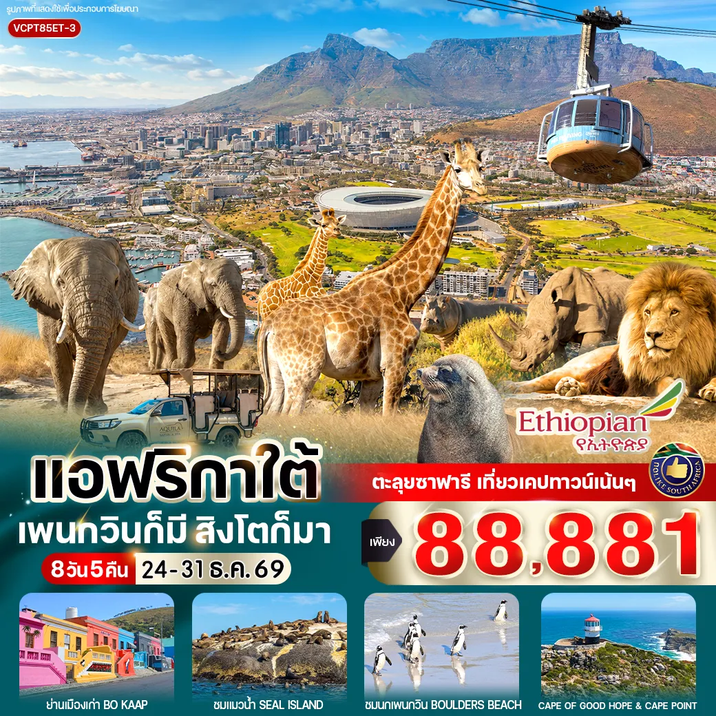 ทัวร์แอฟริกาใต้ 8 วัน 5 คืน- Table Mountain นั่งกระเช้าสู่ยอดเขาสัญลักษณ์ของเมือง ชมวิวเมืองเคปทาวน์และมหาสมุทรแบบ 360 องศา  Game Drive Safari นั่งรถซาฟารี 4x4 ตามหาสัตว์ป่า Big Five ในเขตอนุรักษ์ธรรมชาติ  Cape Winelands เยือนเมืองไวน์ชื่อดัง Franschhoek และ Spice Route Wines Estate พร้อมชมไร่องุ่นและโรงบ่มไวน์ระดับโลก  Hout Bay & Seal Island ล่องเรือชมฝูงแมวน้ำตามธรรมชาติ  Cape Point & Cape of Good Hope สัมผัสปลายสุดอันเลื่องชื่อของคาบสมุทรเคป  Boulders Beach ชมเพนกวินแอฟริกาอย่างใกล้ชิด  Bo-Kaap ย่านบ้านหลากสีอันเป็นเอกลักษณ์ของเคปทาวน์  Chapman's Peak Drive หนึ่งในถนนเลียบชายฝั่งที่สวยที่สุดในโลก