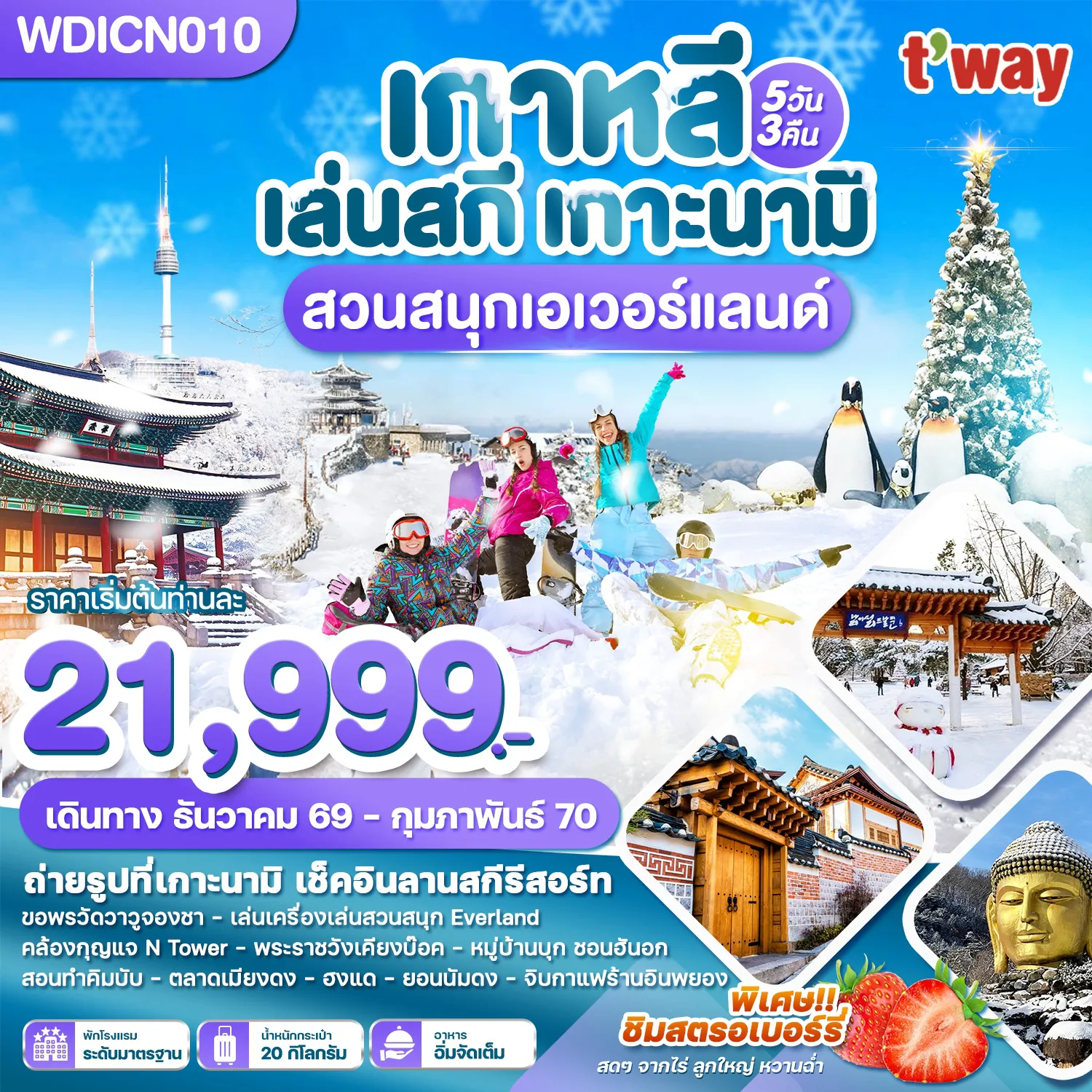 ทัวร์เกาหลีใต้ 5 วัน 3 คืน-WDICN010 เกาหลี เล่นสกี เกาะนามิ เที่ยวปีใหม่!! สวนสนุกเอเวอร์แลนด์ 5วัน3คืน บิน TW
